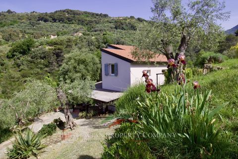 Villa a Vallebona, Imperia, Vallebona - € 495.000 | Ref: D436 - foto 4