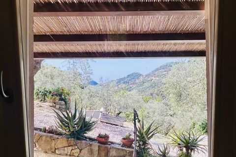Villa a Vallebona, Imperia, Vallebona - € 495.000 | Ref: D436 - foto 16