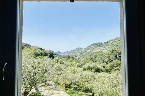 Villa a Vallebona, Imperia, Vallebona - € 495.000 | Ref: D436 - foto 28