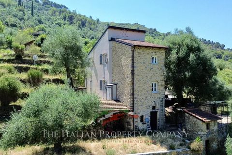 Villa a Vallebona, Imperia, Vallebona - € 495.000 | Ref: D436 - foto 2