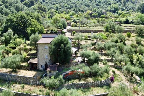 Villa a Vallebona, Imperia, Vallebona - € 495.000 | Ref: D436 - foto 3