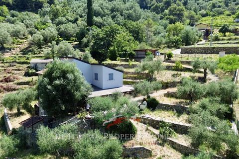 Villa a Vallebona, Imperia, Vallebona - € 495.000 | Ref: D436 - foto 9