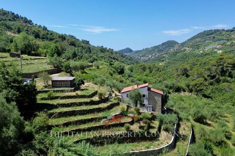 Villa a Vallebona, Imperia, Vallebona - € 495.000 | Ref: D436 - foto 10