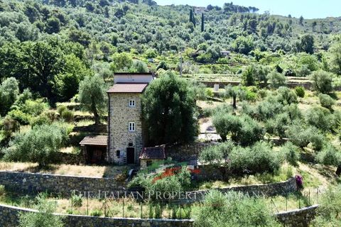 Villa a Vallebona, Imperia, Vallebona - € 495.000 | Ref: D436 - foto 30