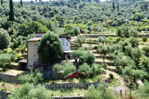 Villa a Vallebona, Imperia, Vallebona - € 495.000 | Ref: D436 - foto 31