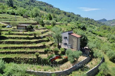 Villa a Vallebona, Imperia, Vallebona - € 495.000 | Ref: D436 - foto 32