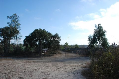 Helårsgrund i Sagres, Faro, Sagres - € 160.000 | Ref: RC142 - foto 9