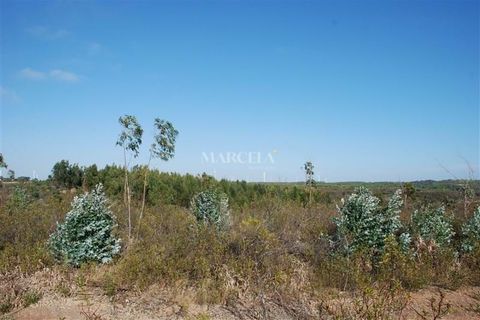 Helårsgrund i Sagres, Faro, Sagres - € 160.000 | Ref: RC142 - foto 5