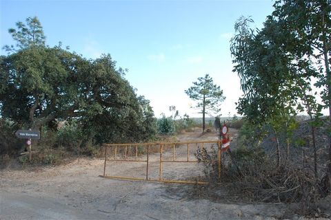 Helårsgrund i Sagres, Faro, Sagres - € 160.000 | Ref: RC142 - foto 4