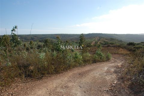 Helårsgrund i Sagres, Faro, Sagres - € 160.000 | Ref: RC142 - foto 6