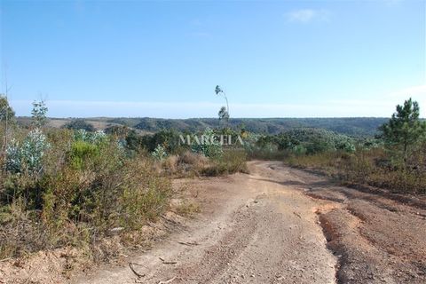 Helårsgrund i Sagres, Faro, Sagres - € 160.000 | Ref: RC142 - foto 7