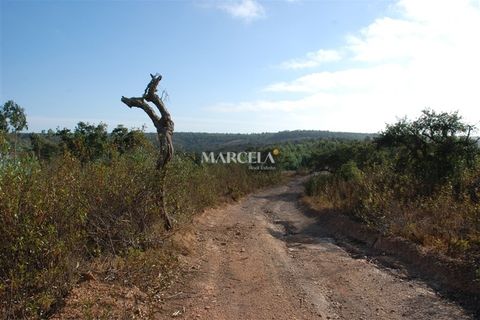 Helårsgrund i Sagres, Faro, Sagres - € 160.000 | Ref: RC142 - foto 8