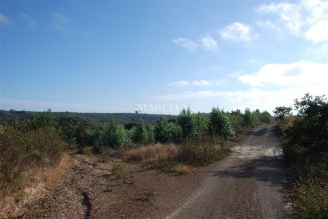 Helårsgrund i Sagres, Faro, Sagres - € 160.000 | Ref: RC142 - foto 10