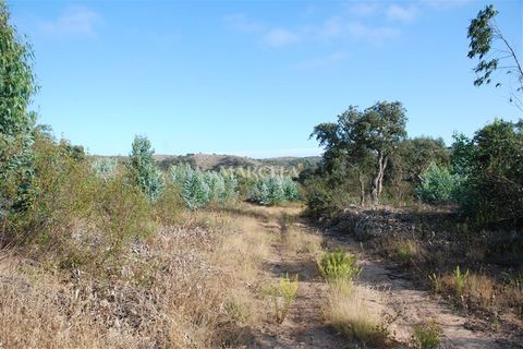 Helårsgrund i Sagres, Faro, Sagres - € 160.000 | Ref: RC142 - foto 11