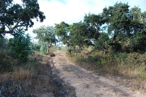 Helårsgrund i Sagres, Faro, Sagres - € 160.000 | Ref: RC142 - foto 12