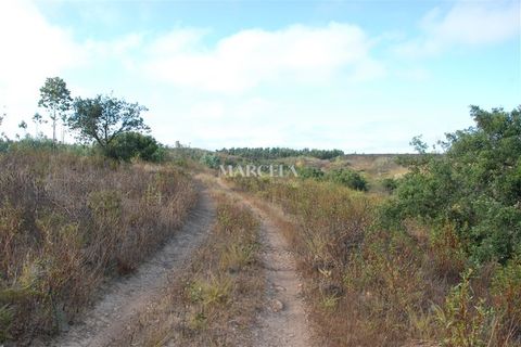 Helårsgrund i Sagres, Faro, Sagres - € 160.000 | Ref: RC142 - foto 13