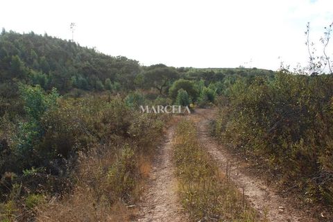 Helårsgrund i Sagres, Faro, Sagres - € 160.000 | Ref: RC142 - foto 15