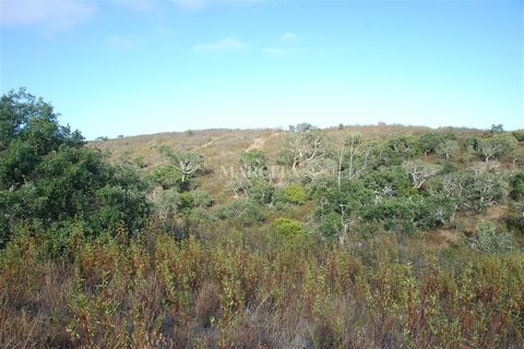Helårsgrund i Sagres, Faro, Sagres - € 160.000 | Ref: RC142 - foto 16
