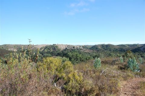 Helårsgrund i Sagres, Faro, Sagres - € 160.000 | Ref: RC142 - foto 14