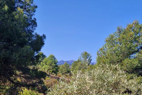 Landejendom i Jayena, Granada, Jayena - € 85.000 | Ref: G177 - foto 23