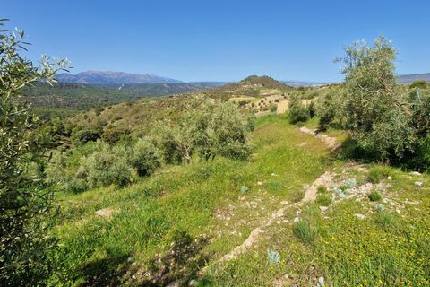 Landejendom i Jayena, Granada, Jayena - € 85.000 | Ref: G177 - foto 21