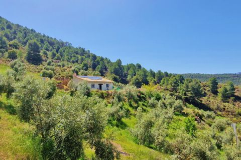 Landejendom i Jayena, Granada, Jayena - € 85.000 | Ref: G177 - foto 25