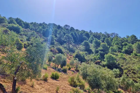 Landejendom i Jayena, Granada, Jayena - € 85.000 | Ref: G177 - foto 19