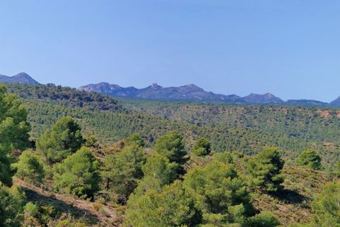 Landejendom i Jayena, Granada, Jayena - € 85.000 | Ref: G177 - foto 20