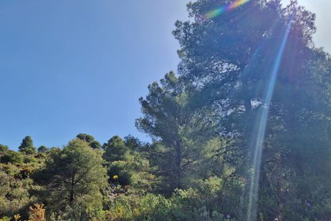 Landejendom i Jayena, Granada, Jayena - € 85.000 | Ref: G177 - foto 22