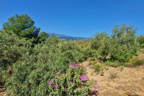 Landejendom i Jayena, Granada, Jayena - € 85.000 | Ref: G177 - foto 2
