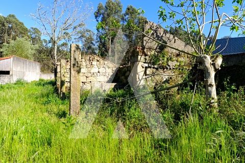 Villa i Ponte de Lima, Viana do Castelo, Ponte de Lima - € 173.000 | Ref: 1350177/25VC - foto 18