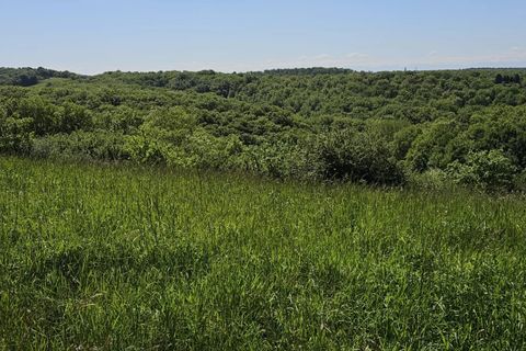 Terra a Ordan-Larroque, Gers, Ordan-Larroque - € 39.500 | Ref: 85898713 - foto 3