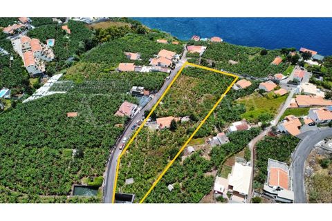 Helårsgrund i Arco da Calheta, Madeira, Arco da Calheta - € 1.800.000 | Ref: TER_118 - foto 1