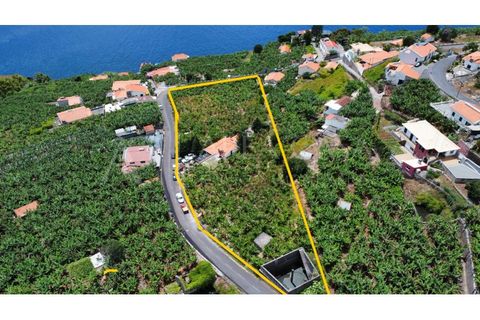 Helårsgrund i Arco da Calheta, Madeira, Arco da Calheta - € 1.800.000 | Ref: TER_118 - foto 3