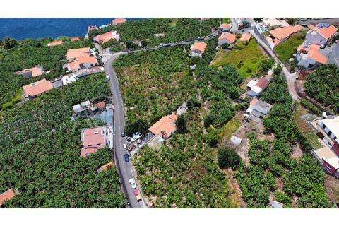 Helårsgrund i Arco da Calheta, Madeira, Arco da Calheta - € 1.800.000 | Ref: TER_118 - foto 4