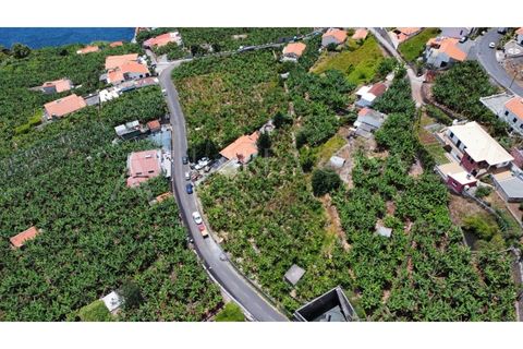 Helårsgrund i Arco da Calheta, Madeira, Arco da Calheta - € 1.800.000 | Ref: TER_118 - foto 5