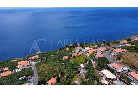 Helårsgrund i Arco da Calheta, Madeira, Arco da Calheta - € 1.800.000 | Ref: TER_118 - foto 6