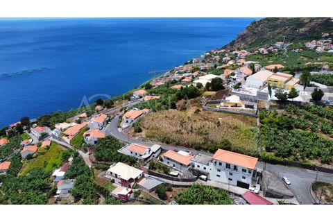 Helårsgrund i Arco da Calheta, Madeira, Arco da Calheta - € 1.800.000 | Ref: TER_118 - foto 7