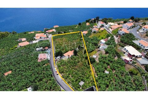 Helårsgrund i Arco da Calheta, Madeira, Arco da Calheta - € 1.800.000 | Ref: TER_118 - foto 8