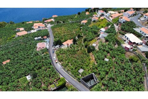 Helårsgrund i Arco da Calheta, Madeira, Arco da Calheta - € 1.800.000 | Ref: TER_118 - foto 10