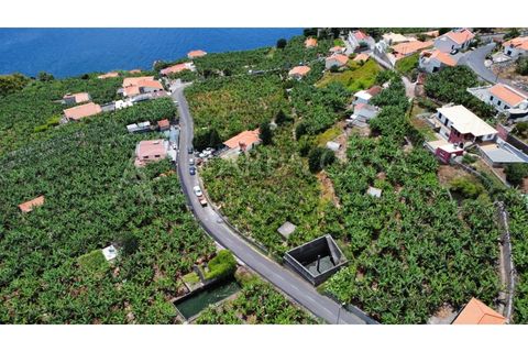 Helårsgrund i Arco da Calheta, Madeira, Arco da Calheta - € 1.800.000 | Ref: TER_118 - foto 11