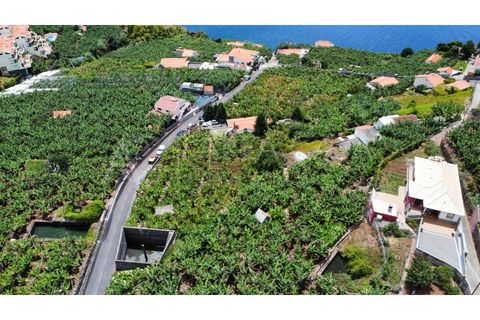 Helårsgrund i Arco da Calheta, Madeira, Arco da Calheta - € 1.800.000 | Ref: TER_118 - foto 12