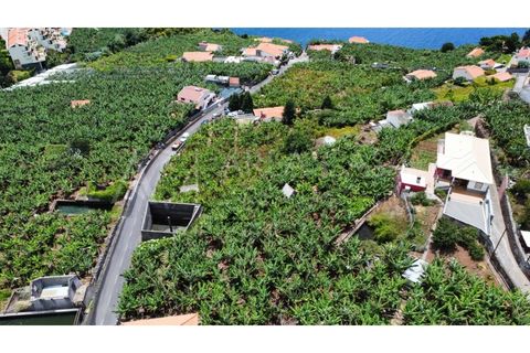 Helårsgrund i Arco da Calheta, Madeira, Arco da Calheta - € 1.800.000 | Ref: TER_118 - foto 13