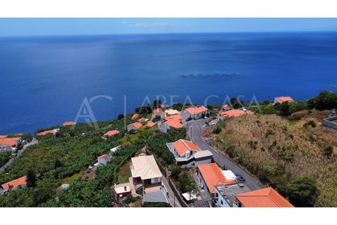 Helårsgrund i Arco da Calheta, Madeira, Arco da Calheta - € 1.800.000 | Ref: TER_118 - foto 14