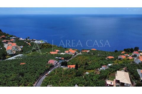 Helårsgrund i Arco da Calheta, Madeira, Arco da Calheta - € 1.800.000 | Ref: TER_118 - foto 15