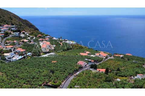 Helårsgrund i Arco da Calheta, Madeira, Arco da Calheta - € 1.800.000 | Ref: TER_118 - foto 16