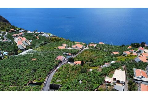 Helårsgrund i Arco da Calheta, Madeira, Arco da Calheta - € 1.800.000 | Ref: TER_118 - foto 17