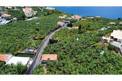 Helårsgrund i Arco da Calheta, Madeira, Arco da Calheta - € 1.800.000 | Ref: TER_118 - foto 18