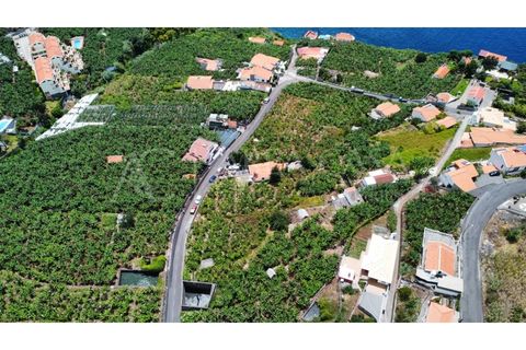 Helårsgrund i Arco da Calheta, Madeira, Arco da Calheta - € 1.800.000 | Ref: TER_118 - foto 19