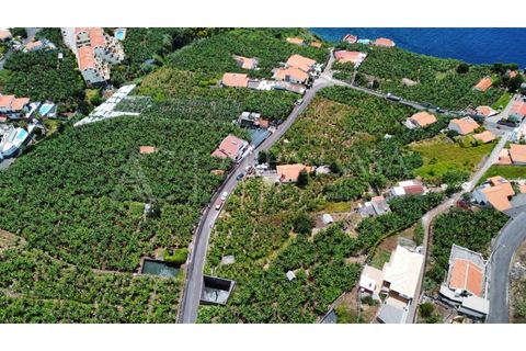 Helårsgrund i Arco da Calheta, Madeira, Arco da Calheta - € 1.800.000 | Ref: TER_118 - foto 20